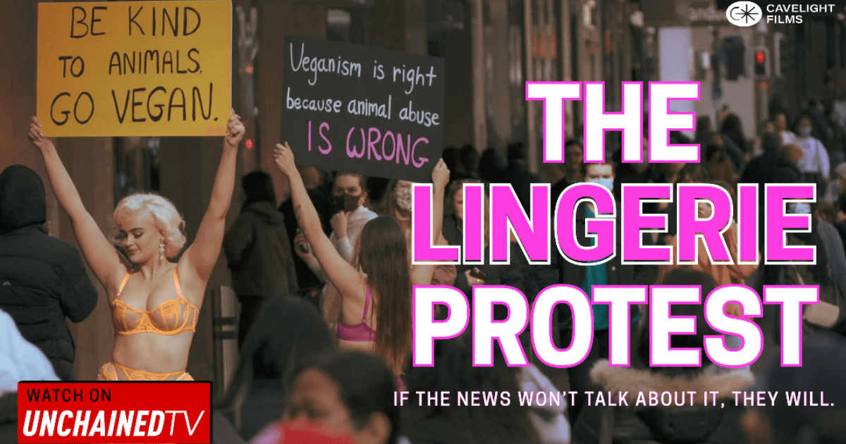 Tash Peterson: Vegan activist shares online abuse over lingerie