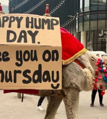 a camel outside liverpool street station with a bilboardwhich reads happy hump day see you on thursday