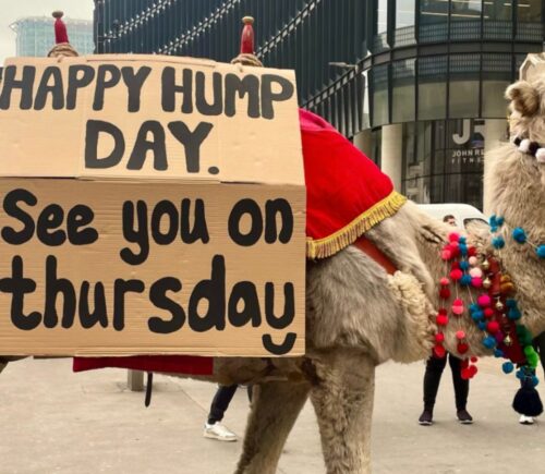 a camel outside liverpool street station with a bilboardwhich reads happy hump day see you on thursday