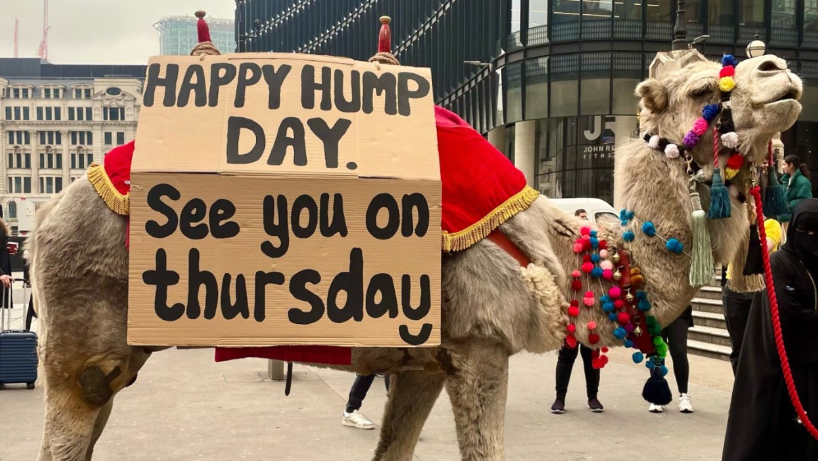a camel outside liverpool street station with a bilboardwhich reads happy hump day see you on thursday