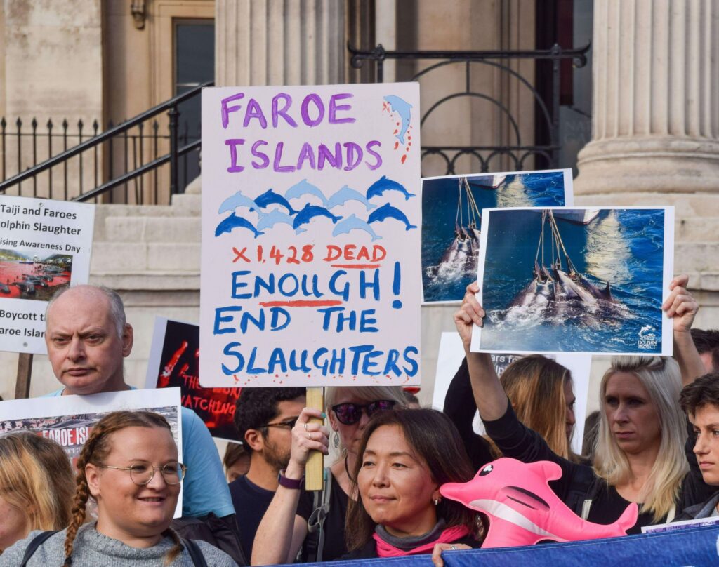 Protesters campaigning against dolphin hunts inFaroe Islands 