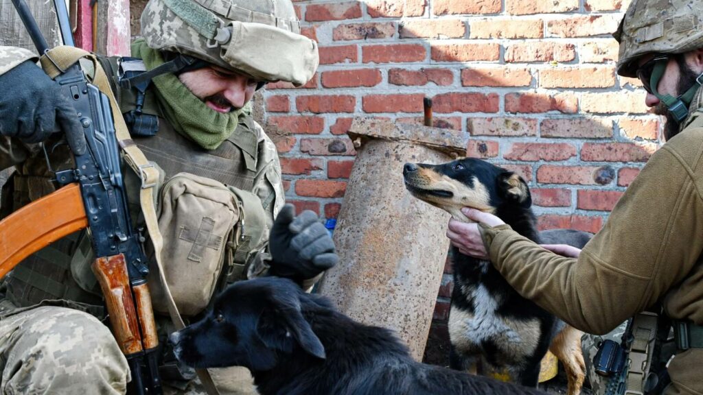 Soldiers in Ukraine with dogs