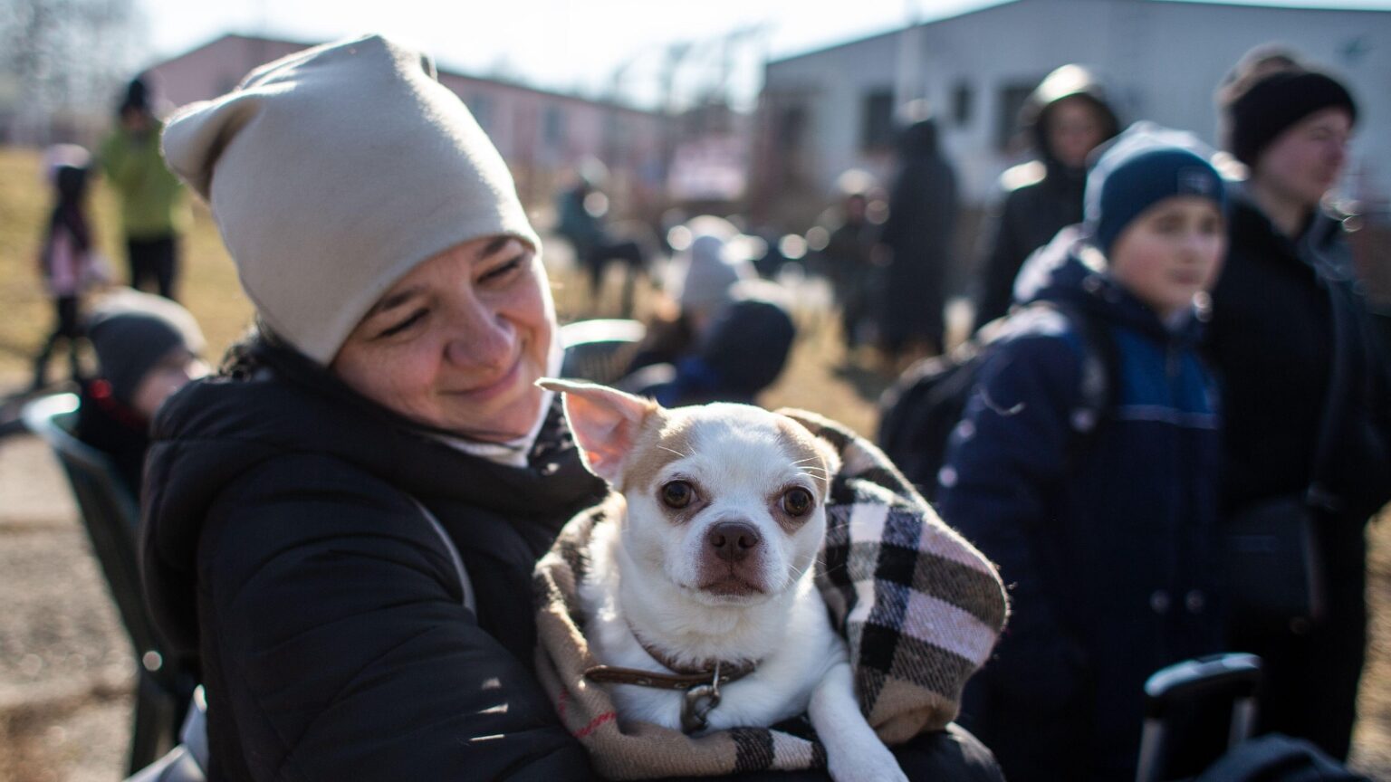 How People Are Coming Forward For Animals In Ukraine, And Where To Donate