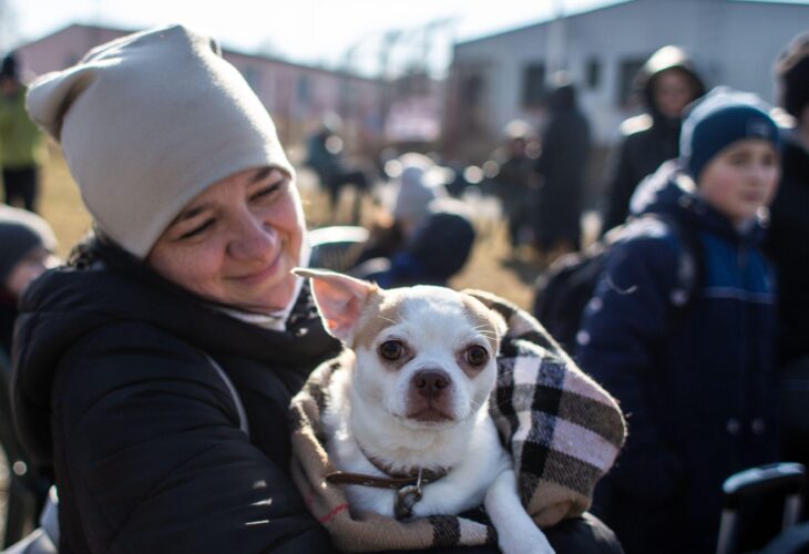 People fleeing Ukraine with their pets
