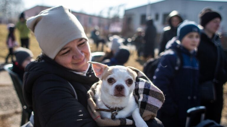 How People Are Coming Forward For Animals In Ukraine And Where To Donate   Plant Based News Ukraine Pets 768x432 