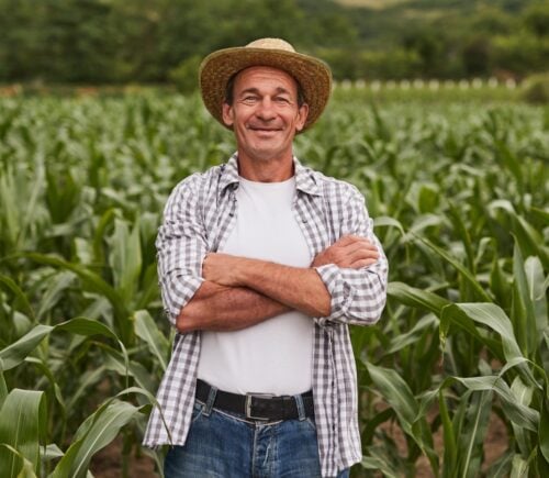 A farmer stands in a field of crops