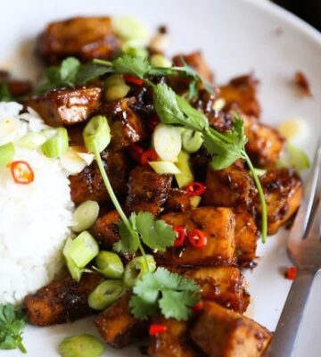 close up of vegan black pepper tofu and rice