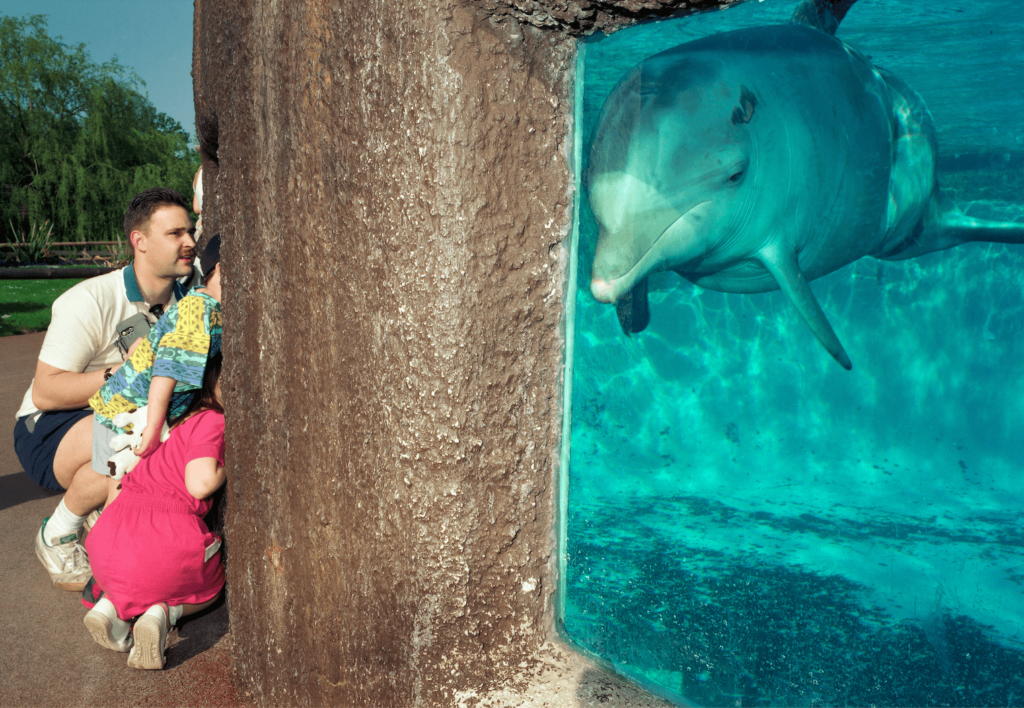 A family looking at a sad-looking dolphin at a marine park