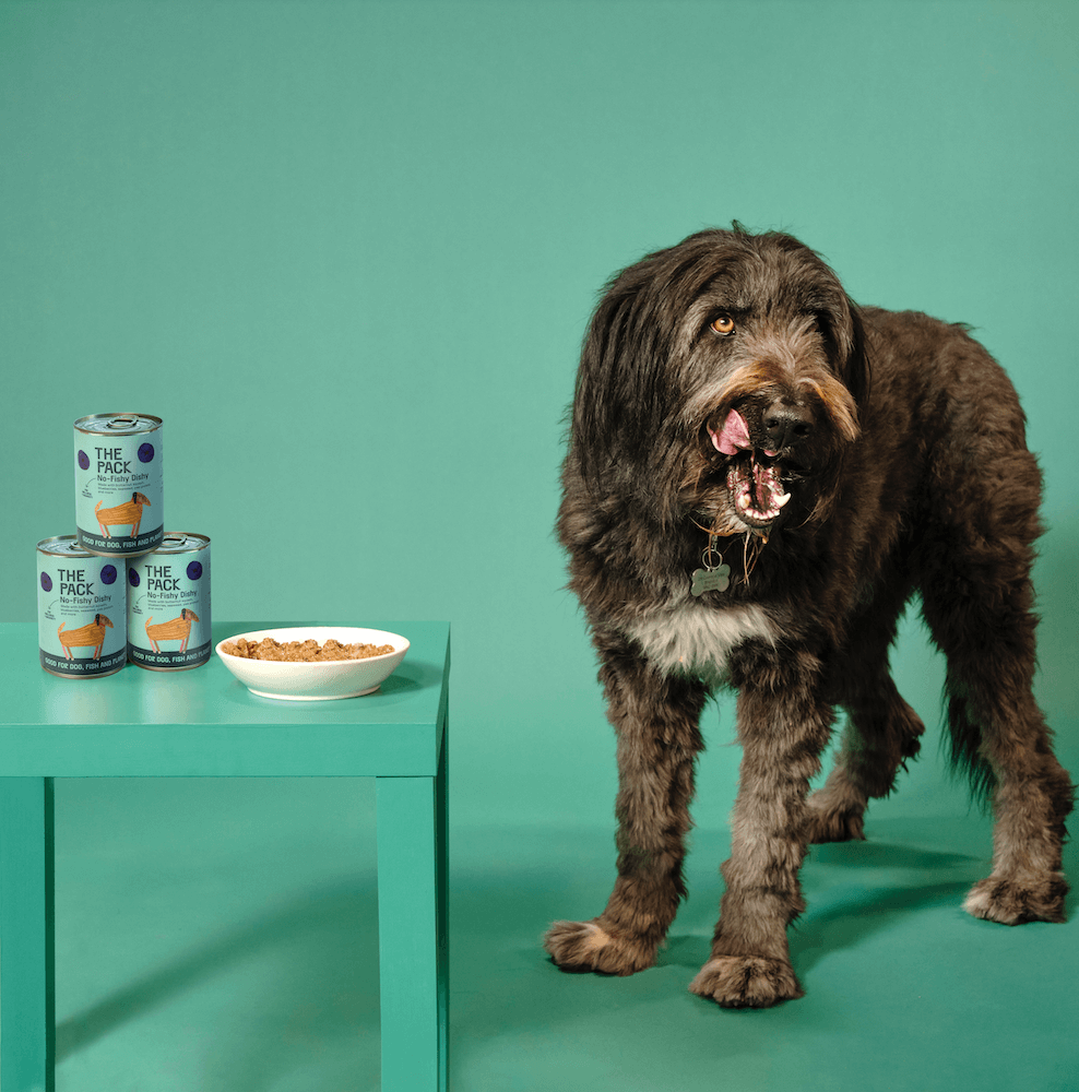 Large dog licking their lips next to some pet food