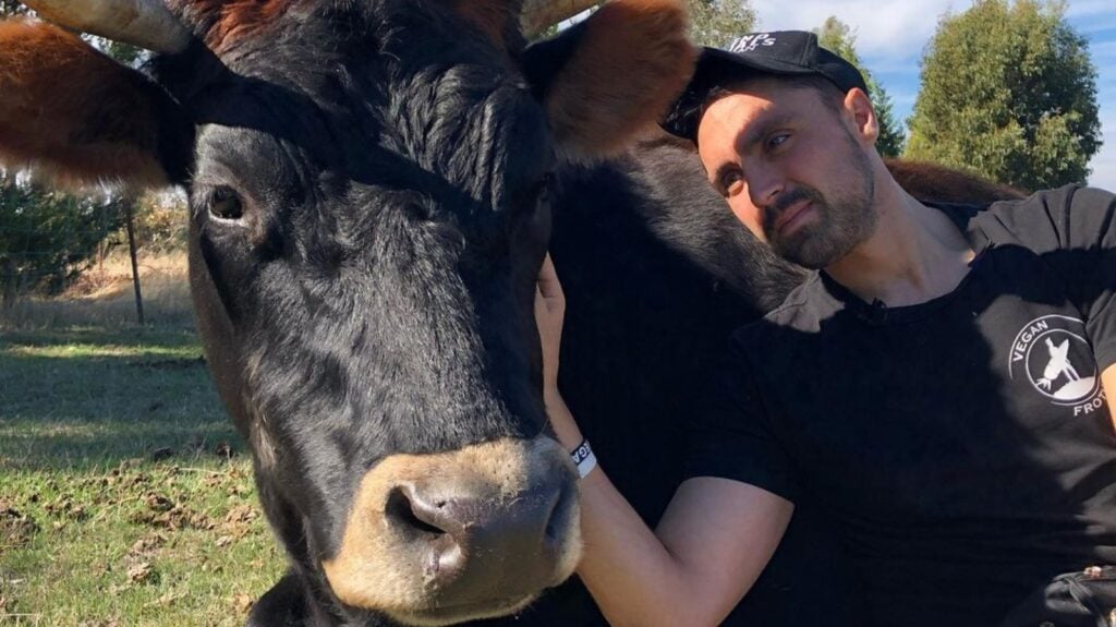 Vegan activist Joey Carbstrong with a cow
