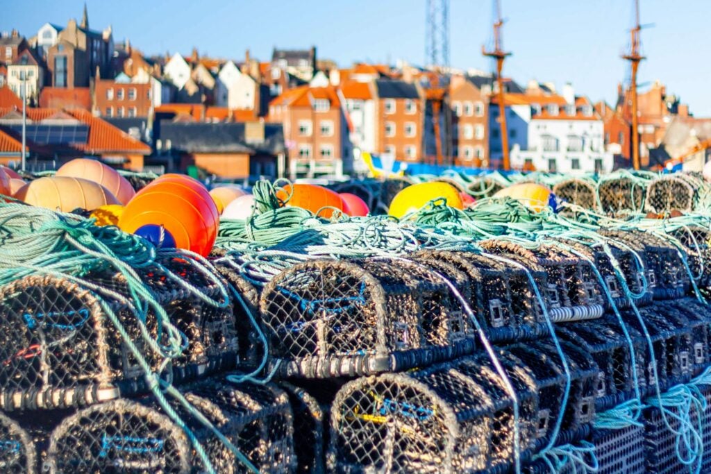 Rows of lobster traps by the sea