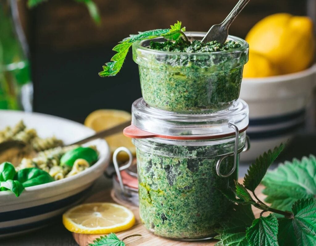 pots of vegan stinging nettle pesto from a plant-based recipe