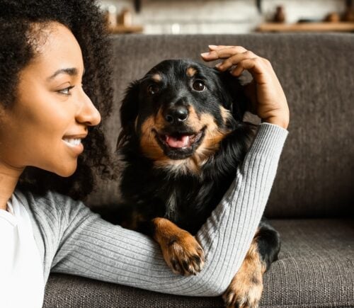 A woman smiles at a dog sitting on the sofa