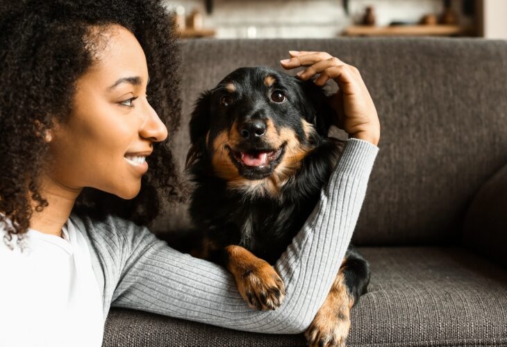 A woman smiles at a dog sitting on the sofa