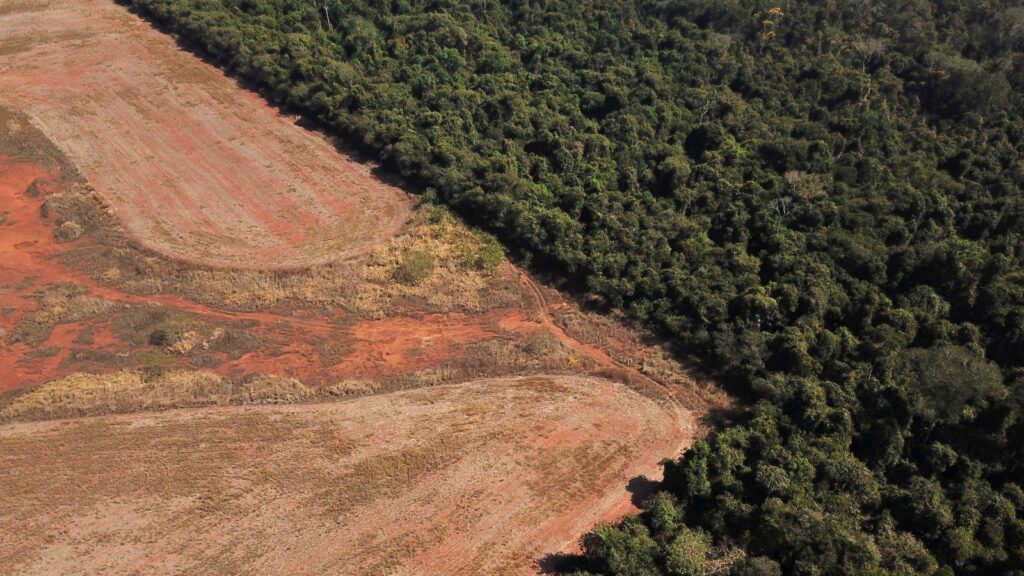 deforestation near a forest on the border between Amazonia and Cerrado