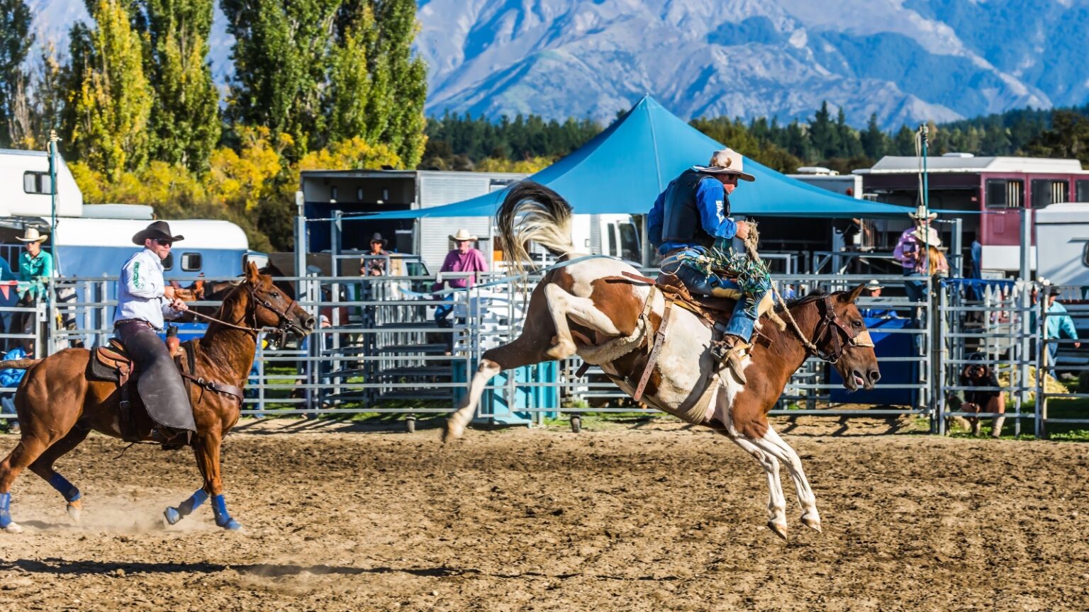 Animal Rights Groups Launch Legal Bid To Ban Rodeo In New Zealand