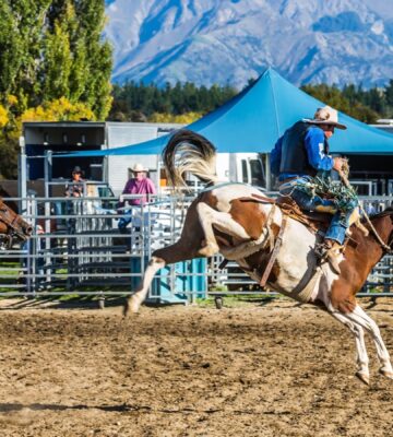 A cowboy on a bucking horse in a rodeo championship