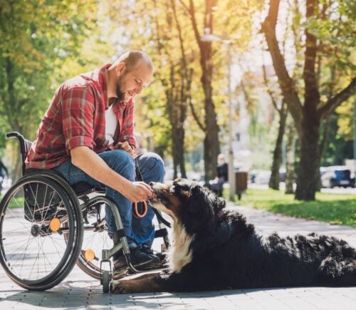 A man in a wheelchair feeding his dog outside in a park