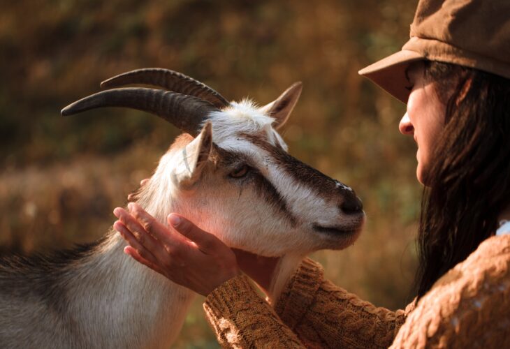 A woman and a goat looking into each other's eyes