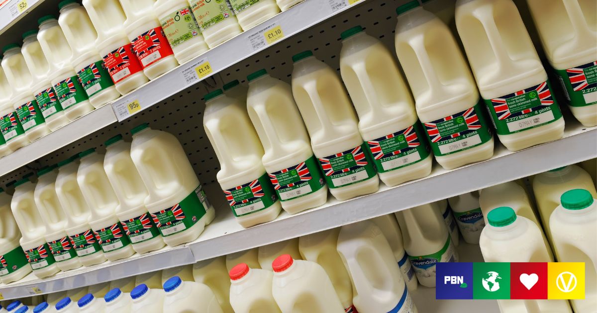 Cow’s Milk Prices Reach An AllTime High In The UK