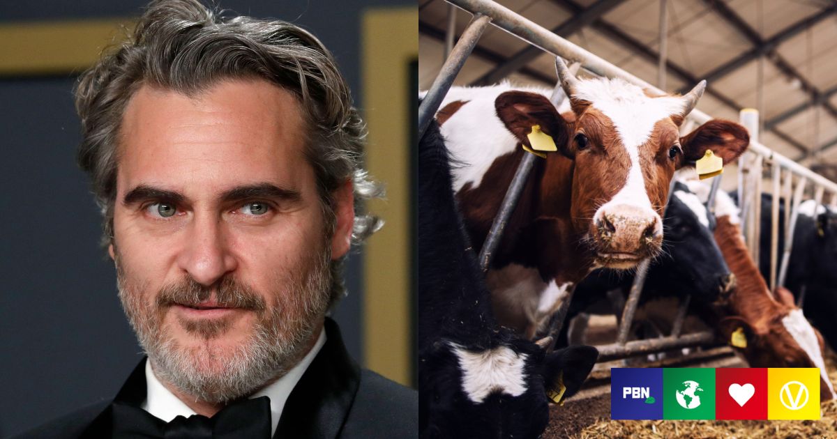 Joaquin Phoenix Slams Meat Industry's Greenwashing Of Factory Farm