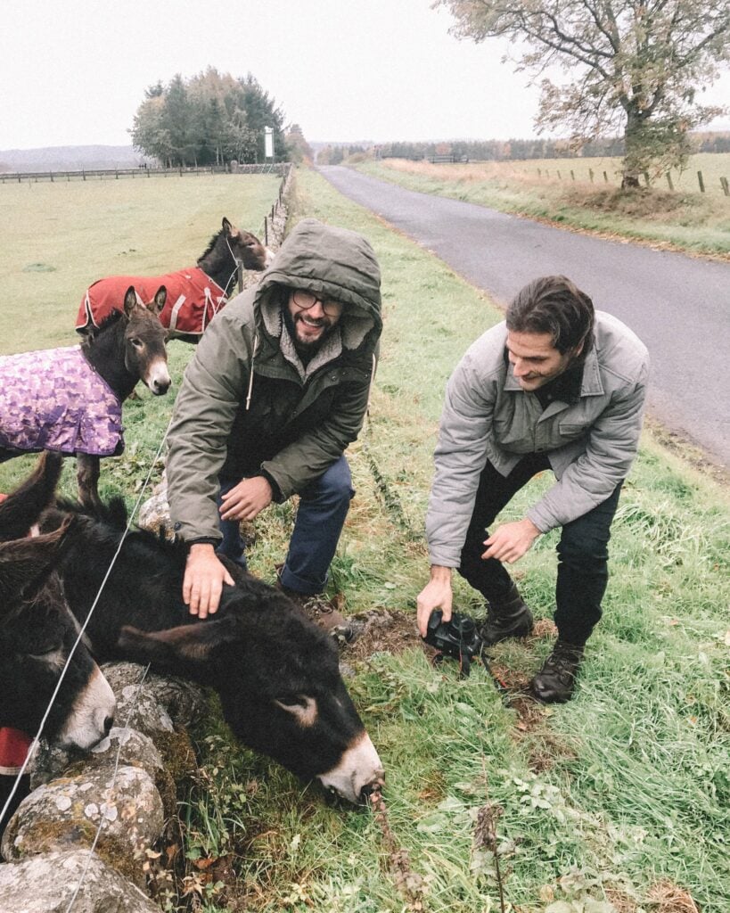 Brian and Charlie Trupo with some donkeys in a field