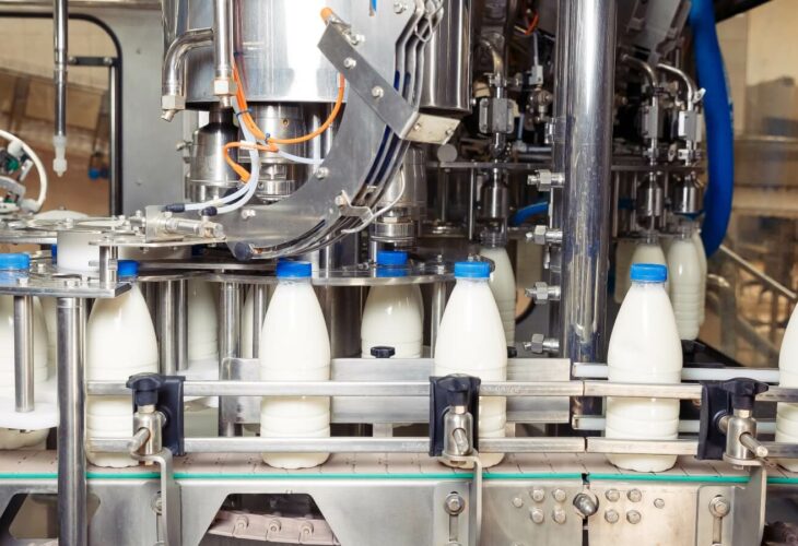 Bottles of cow's milk on a conveyer belt in a dairy facility