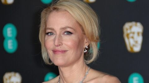 Gillian Anderson Urges Versace, Jimmy Choo, And Michael Kors To Ban ...