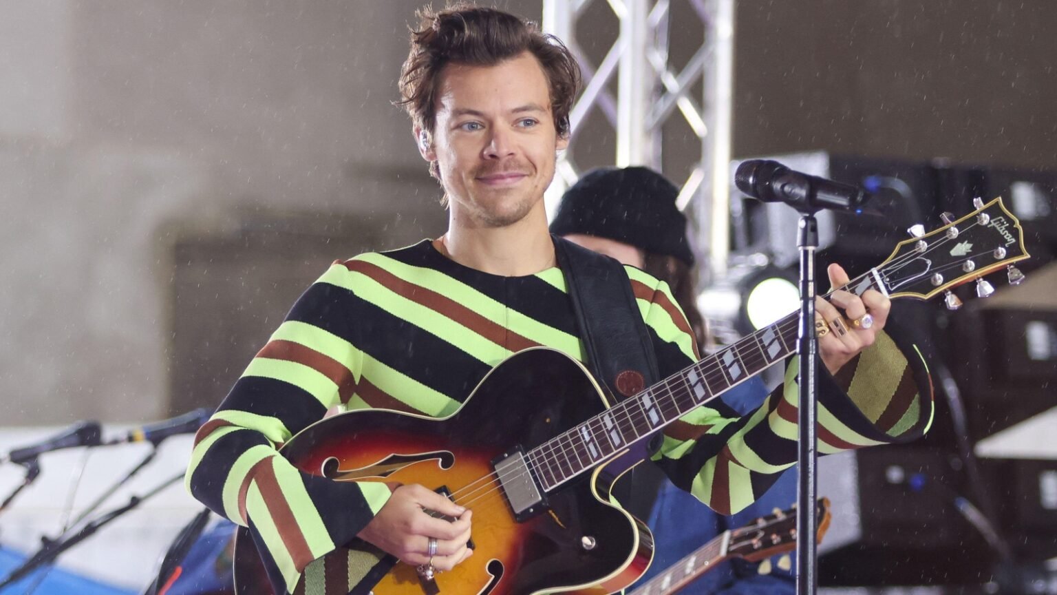 Harry Styles Tells 20,000 Fans: 'I Don't Eat Meat'