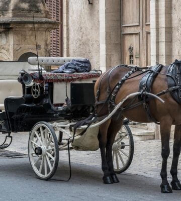Horse drawn carriage awaits old city tour customers, Palma de Majorca