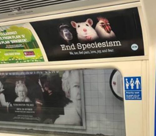 An anti-speciesism ad on the London Underground