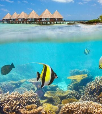 Under the sea in the Maldives with a sunny climate