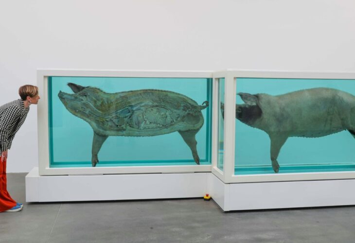 Opinion: Creativity Or Abuse? Inside The Art World's Complicated  Relationship With Animals