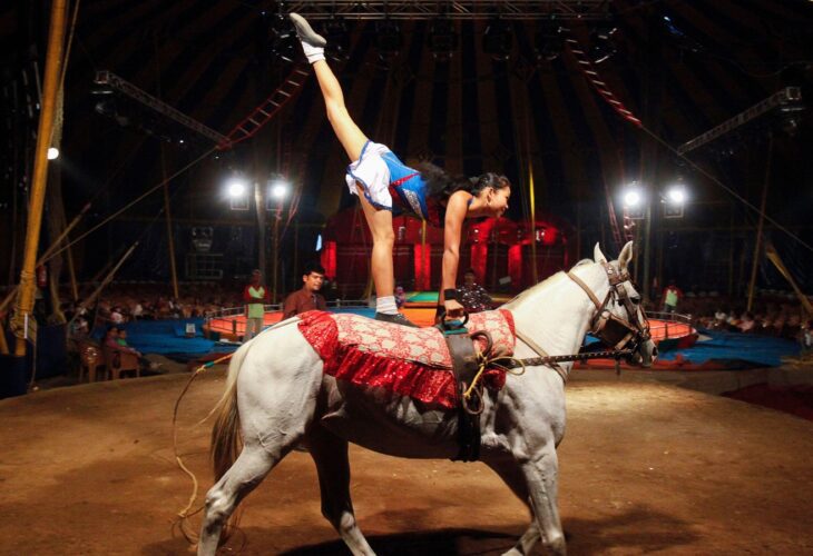 A performer balances herself on the back of a horse during a show at the Rambo Circus in Mumbai November 9, 2011