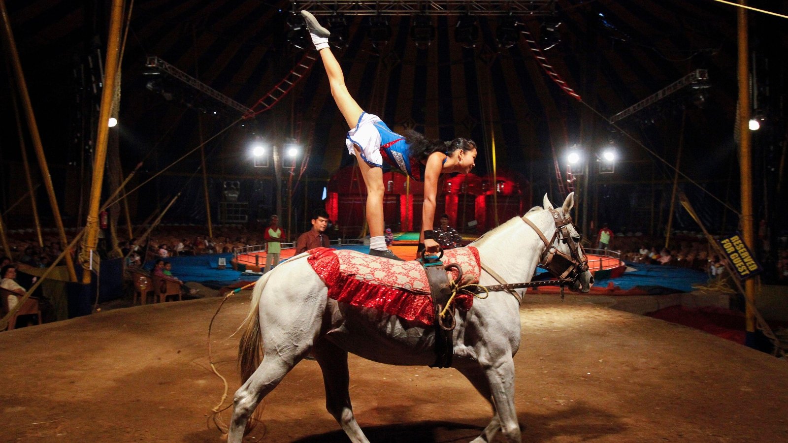 How Activist Pressure Got This Major Indian Company To Stop Promoting Circus  Animals