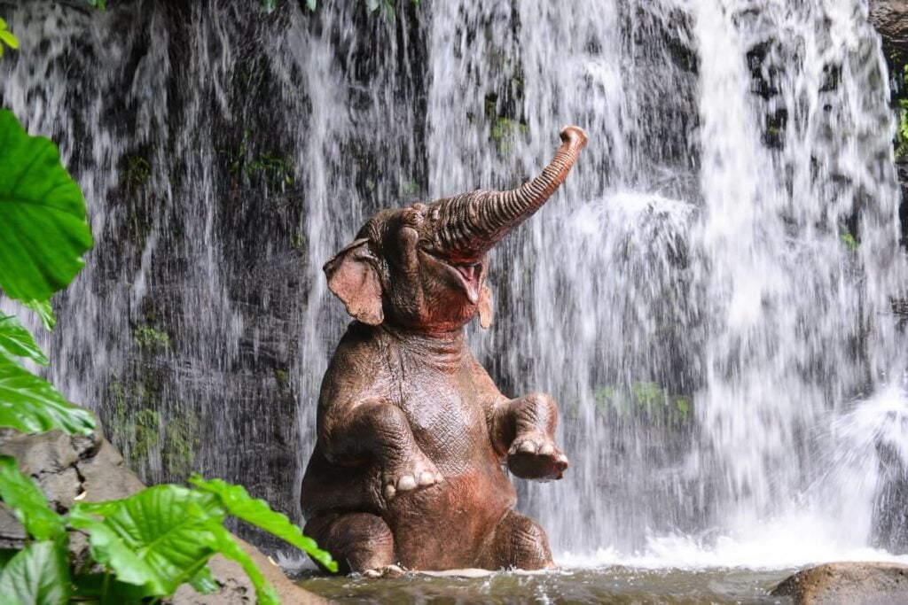Elephant laughing at vegan jokes in front of a waterfall