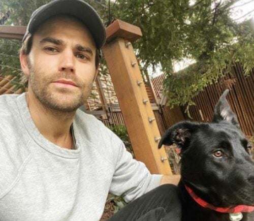 Vegan actor Paul Wesley and his plant-based dog