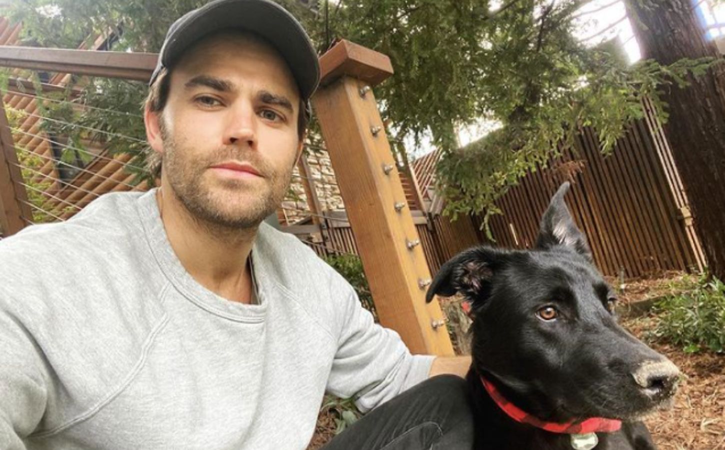 Vegan actor Paul Wesley and his plant-based dog