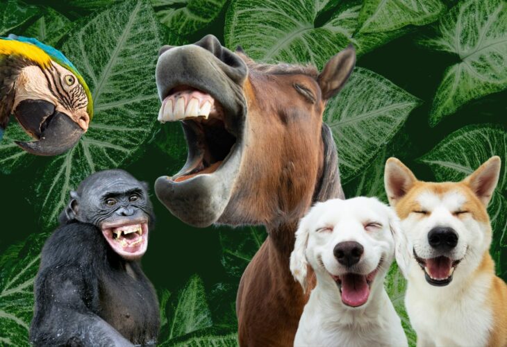 A parrot, primate, horse, and dogs laughing in front of a leafy background