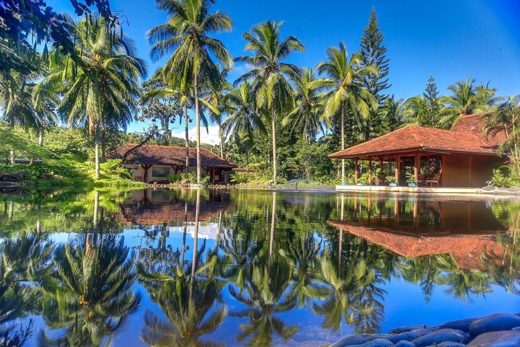 a vegan resort surrounded by palm trees in the Phillipines
