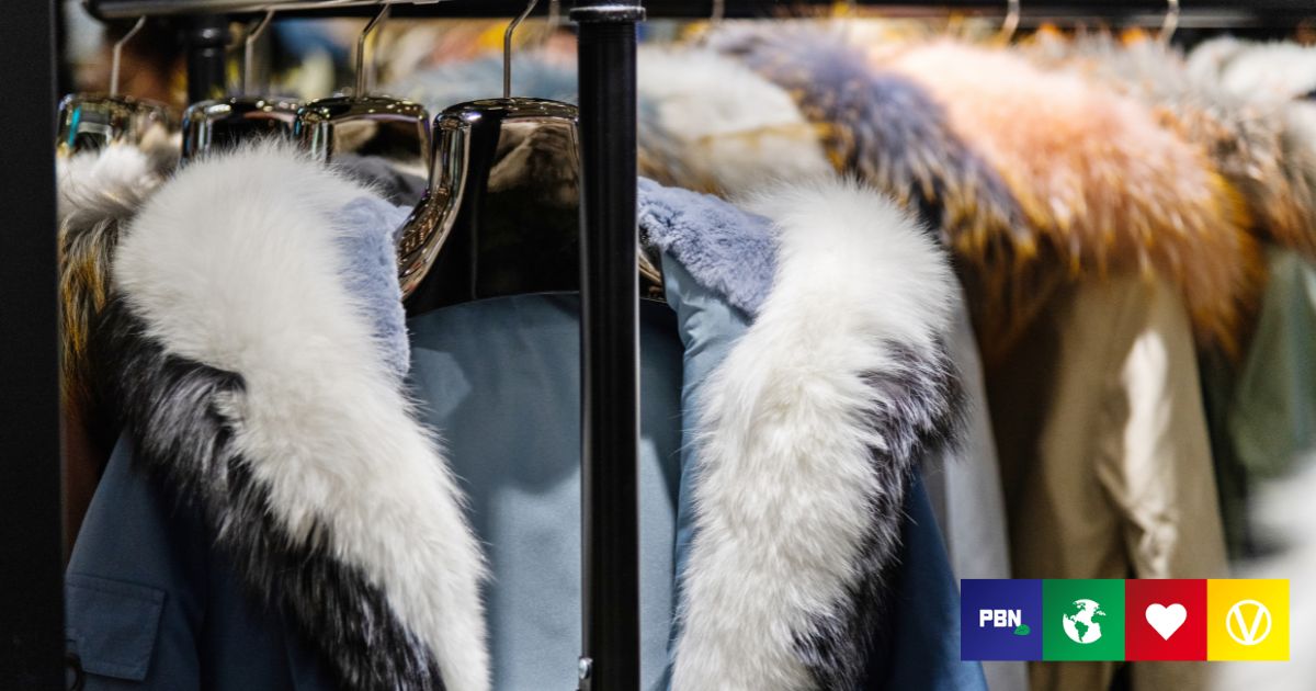 House Of Fraser, Flannels, And Sports Direct Are Going FurFree