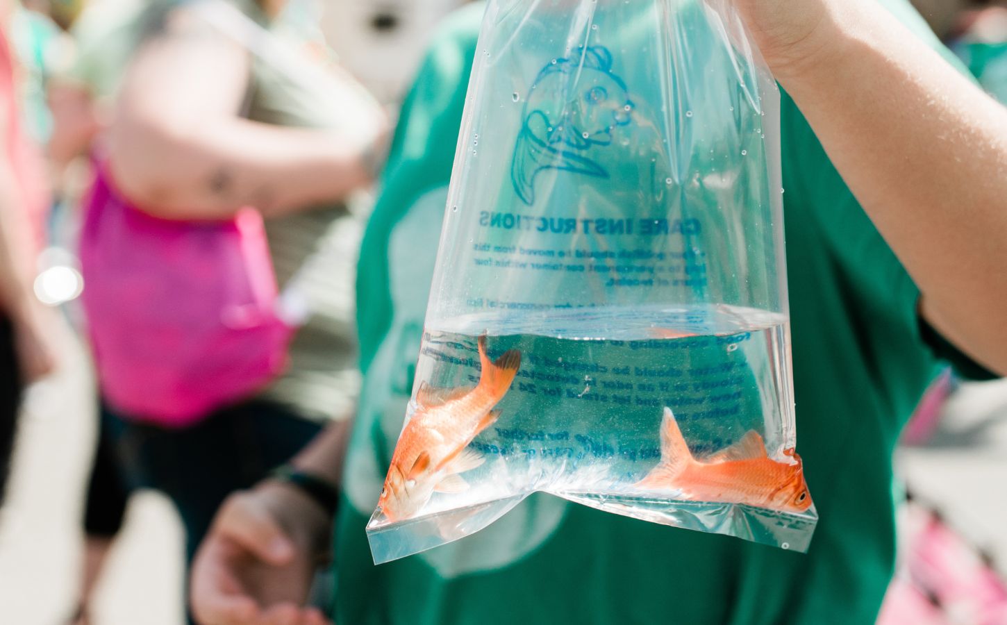 person holding a plastic bag with two goldfish inside