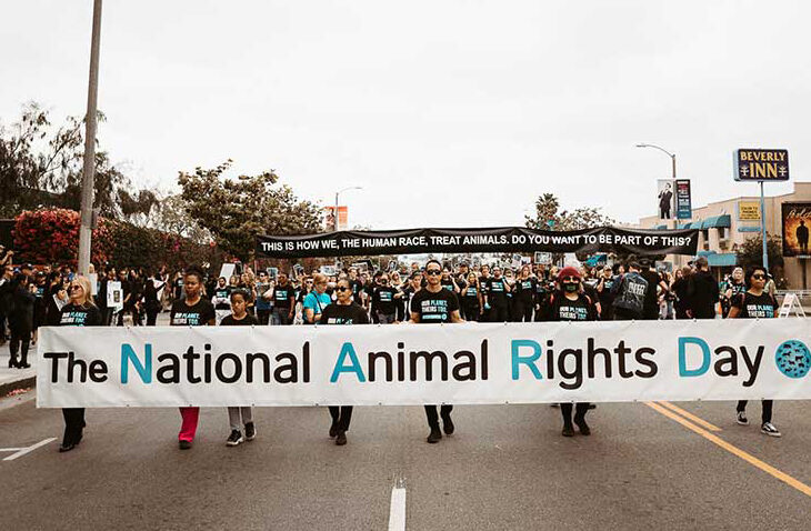 protestors hold a banner saying the national animal rights day
