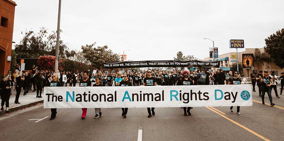 protestors hold a banner saying the national animal rights day