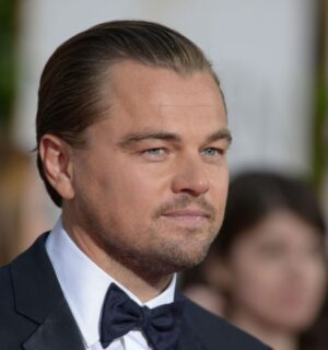 Leonardo DiCaprio on the red carpet