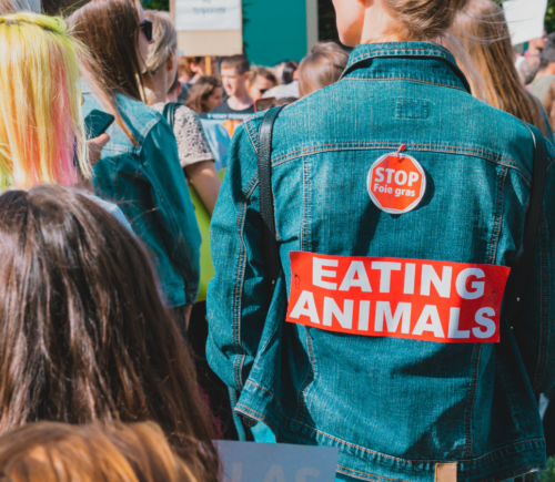 A group of people at a protest, one of whom wears a denim jacket with a "stop eating animals" sign on it