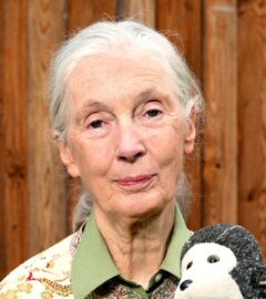 Leading conservationist Jane Goodall