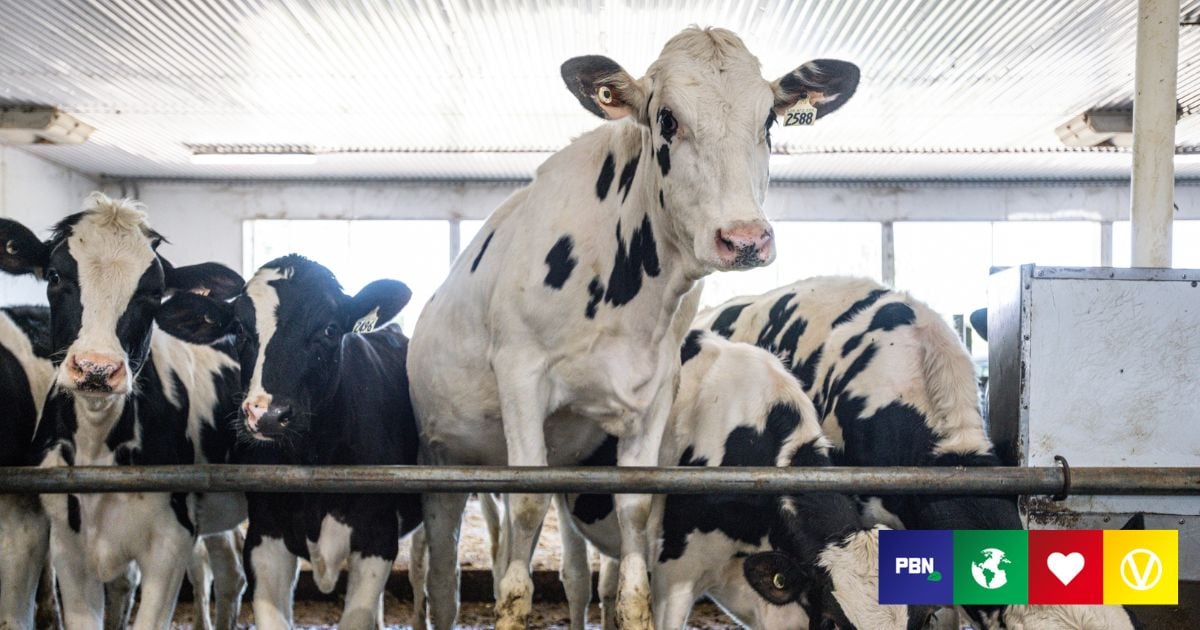 15 Meat And Dairy Companies Produce Nearly As Much Methane As The