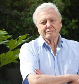 Environmentalist Sir David Attenborough