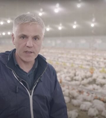 VFC owner Matthew Glover in a chicken farm